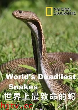 世界上最致命的蛇